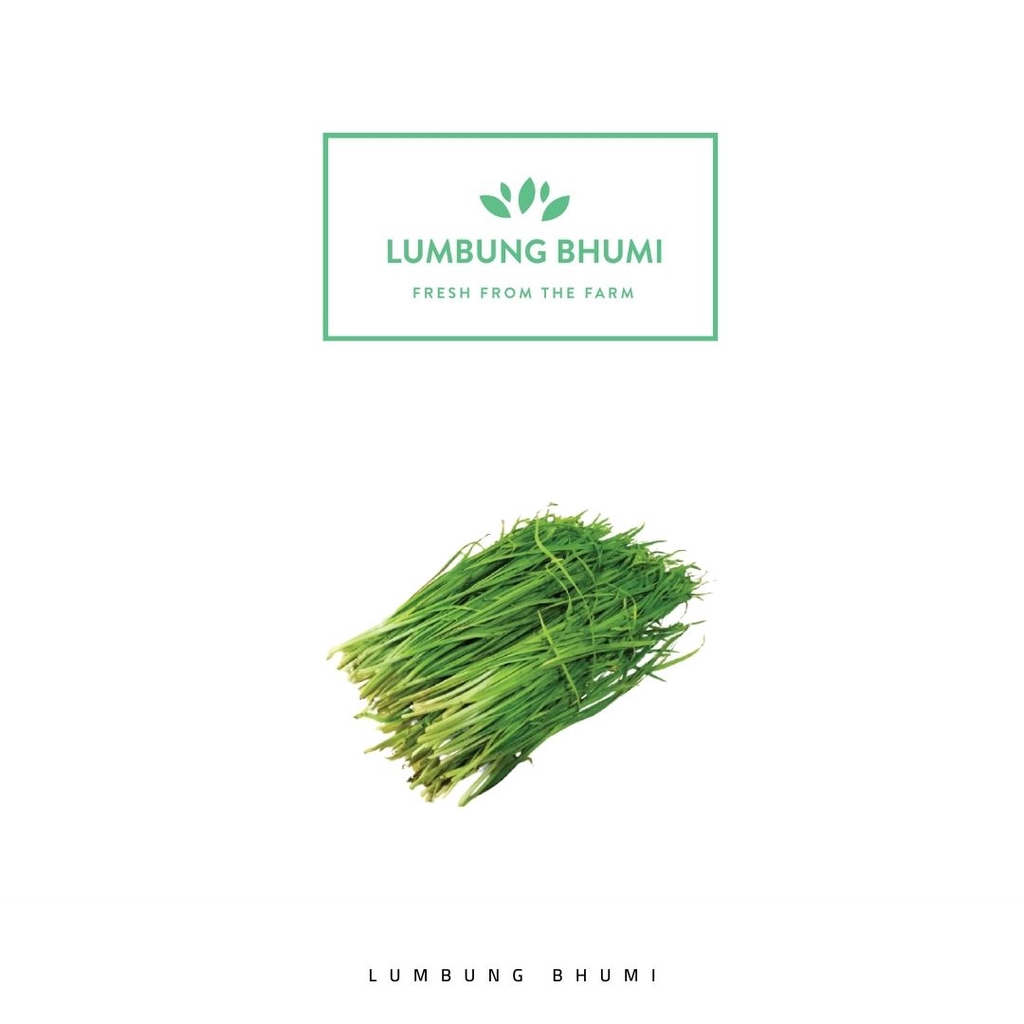 

Lumbung Bhumi - Kucai 100 Gr ( Sayur Curah )