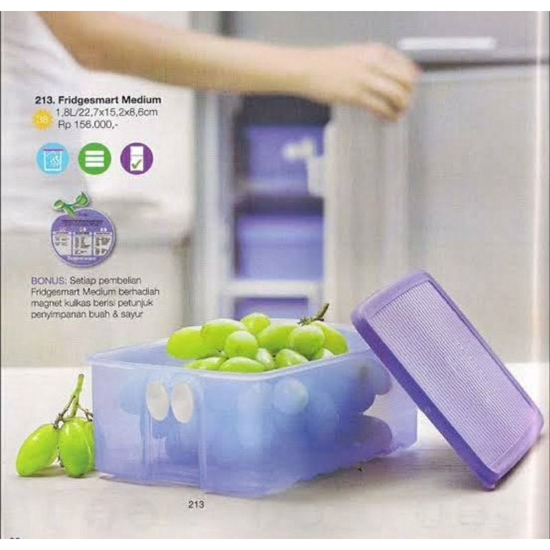 fridgesmart medium tupperware