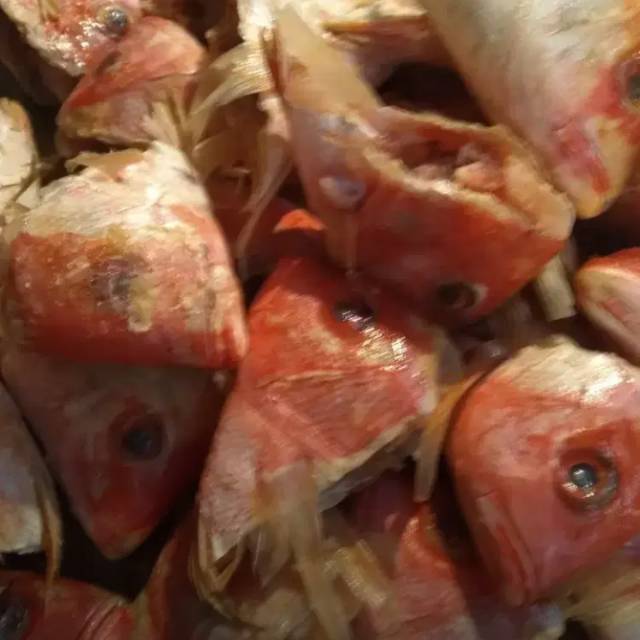 

Jual kepala kakap merah segar min 1kg