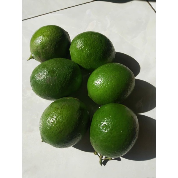 

Jeruk Lemon California 1kg green or yellow bisa membantu menurunkan berat badan