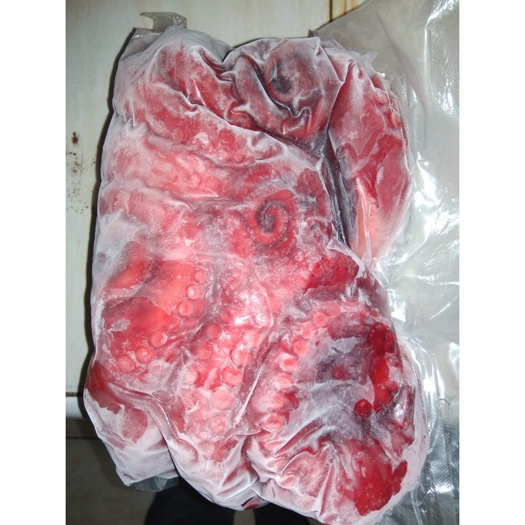 

Gurita (tako) 1 kg