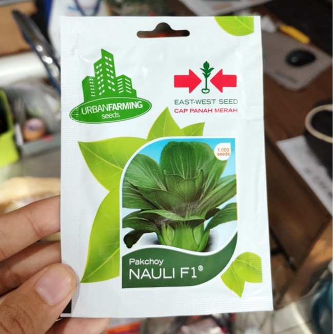 benih sayur dan buah - ANEKA SAYUR DAUN URBAN FARMING - benih kangkung - benih selada - benih pakchoy - benih bayam - benih kailan - benih seledri