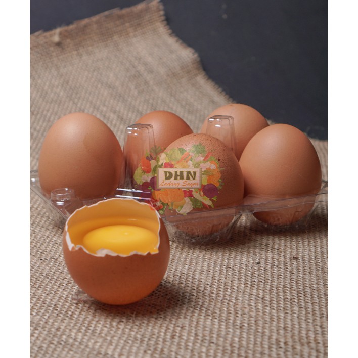

Telur Ayam Negeri