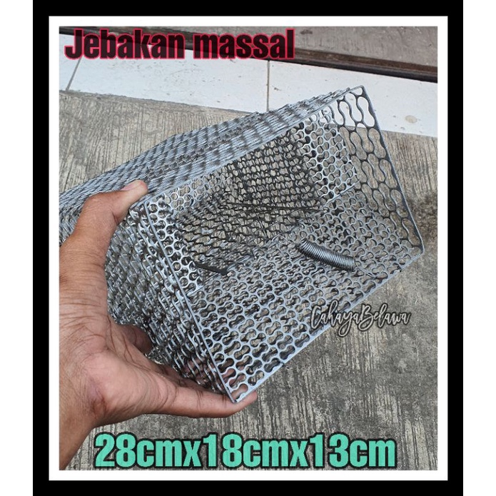 JEBAKAN TIKUS MASAL/ PERANGKAP TIKUS MASAL TEBAL