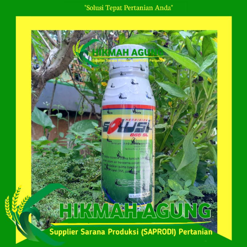 SOLUSI 865SL 400 ML DIMETIL AMINA HERBISIDA RUMPUT