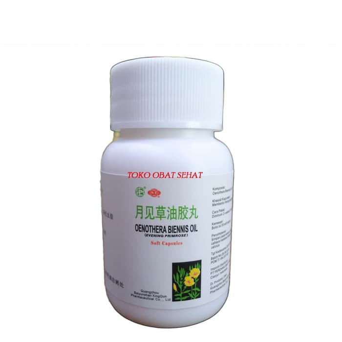 EVENING PRIMROSE obat kolesterol - tligeserid - lemak darah herbal