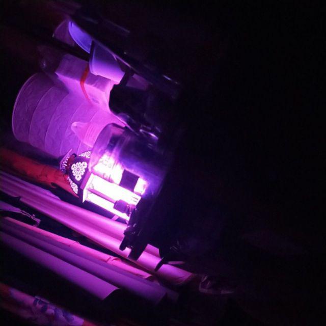 Rak Essential Oil + Carrier