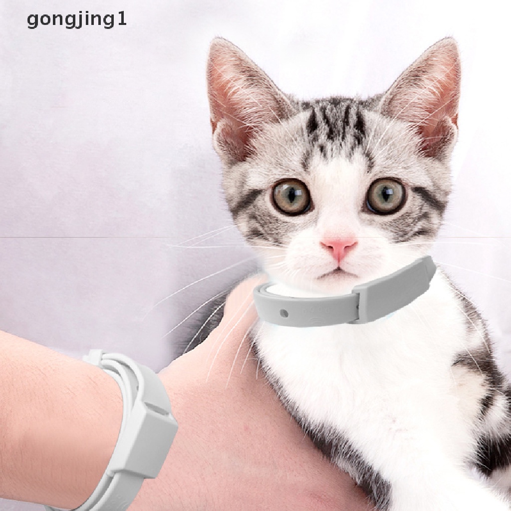 Kalung Leher Pencegahan Nyamuk Kutu Untuk Anjing Kucing Peliharaan