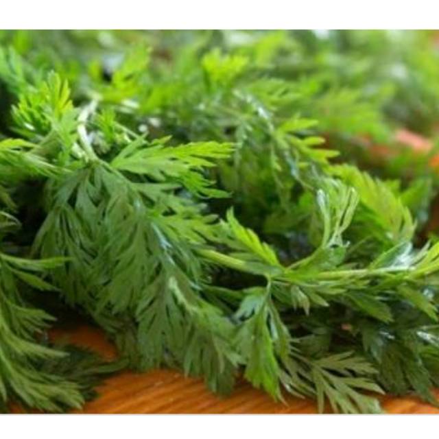 

Daun kenikir lalapan
