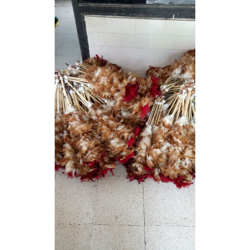 

kemucing bulu ayam