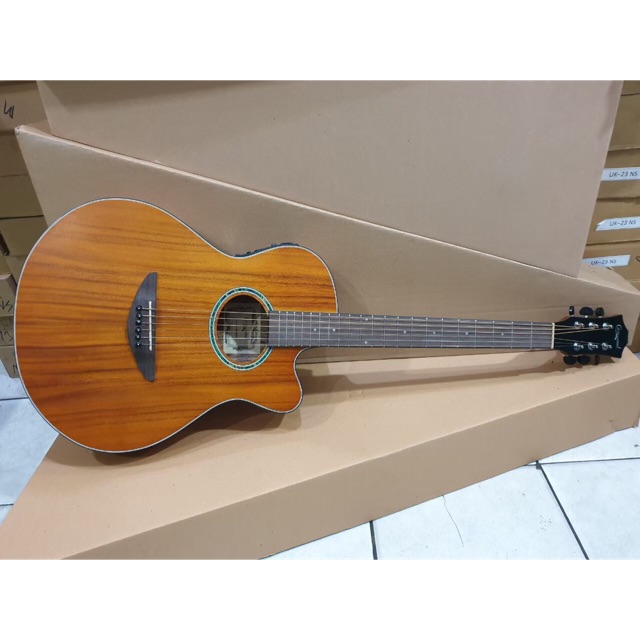 Gitar Akustik Elektrik Merk Camwood Original Tipe IWC-38 NSK Equalizer EQ-7545 Solid Senar String