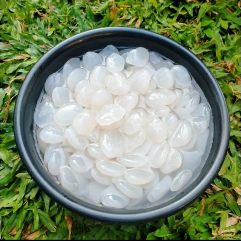 

kolang Kaling mentah fresh