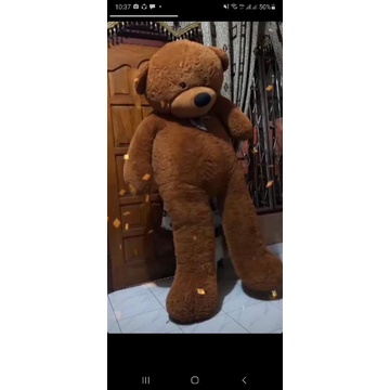 teddy bear jumbo