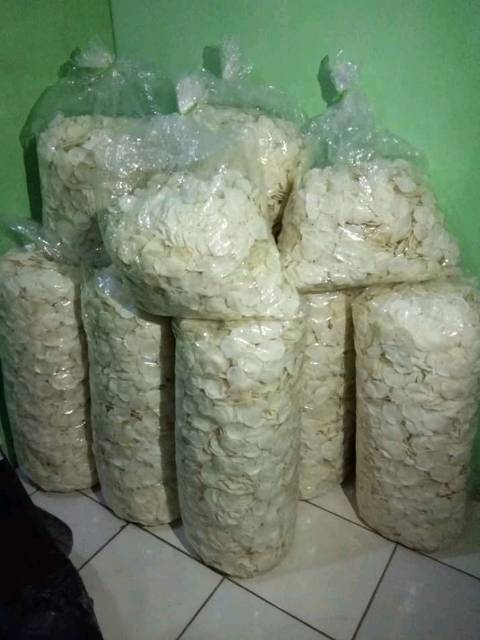 

Opak singkong kecimpring MENTAH ENAK GURIH KRUPUK SINGKONG