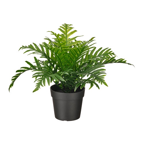 FEJKA Tanaman tiruan dalam pot, polypodium, 9 cm