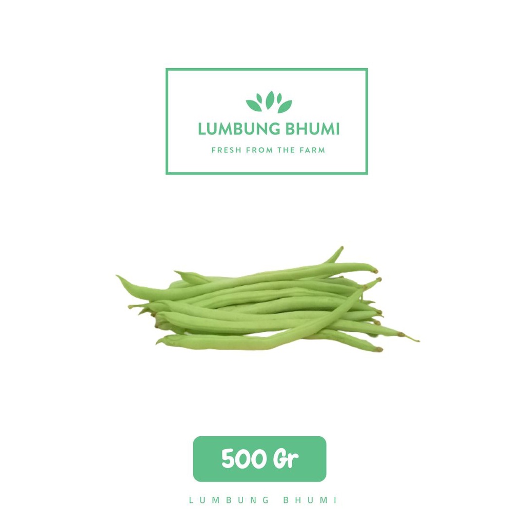 

Lumbung Bhumi - Baby Buncis Lokal 500 Gr ( Sayur Curah )