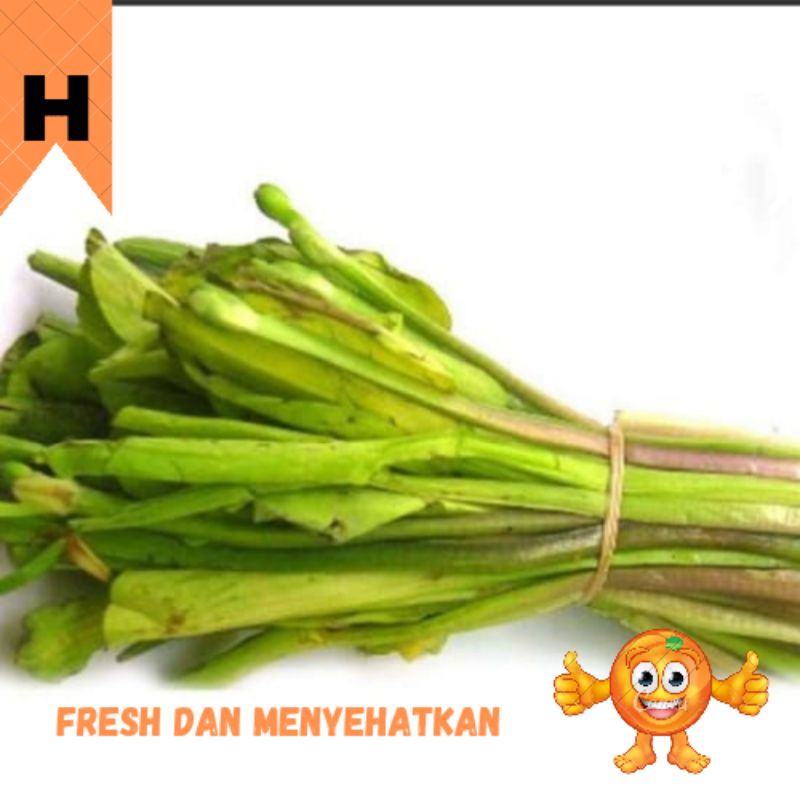 

SAYUR GENJER /IKAT