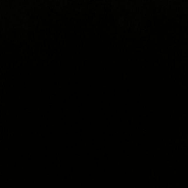 Pot Tanaman Tawon Putih Diameter 15cm