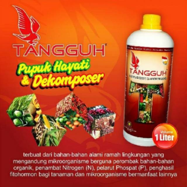 TANGGUH DEKOMPOSER