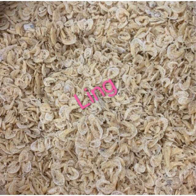 

Rebon bagan 500 gram