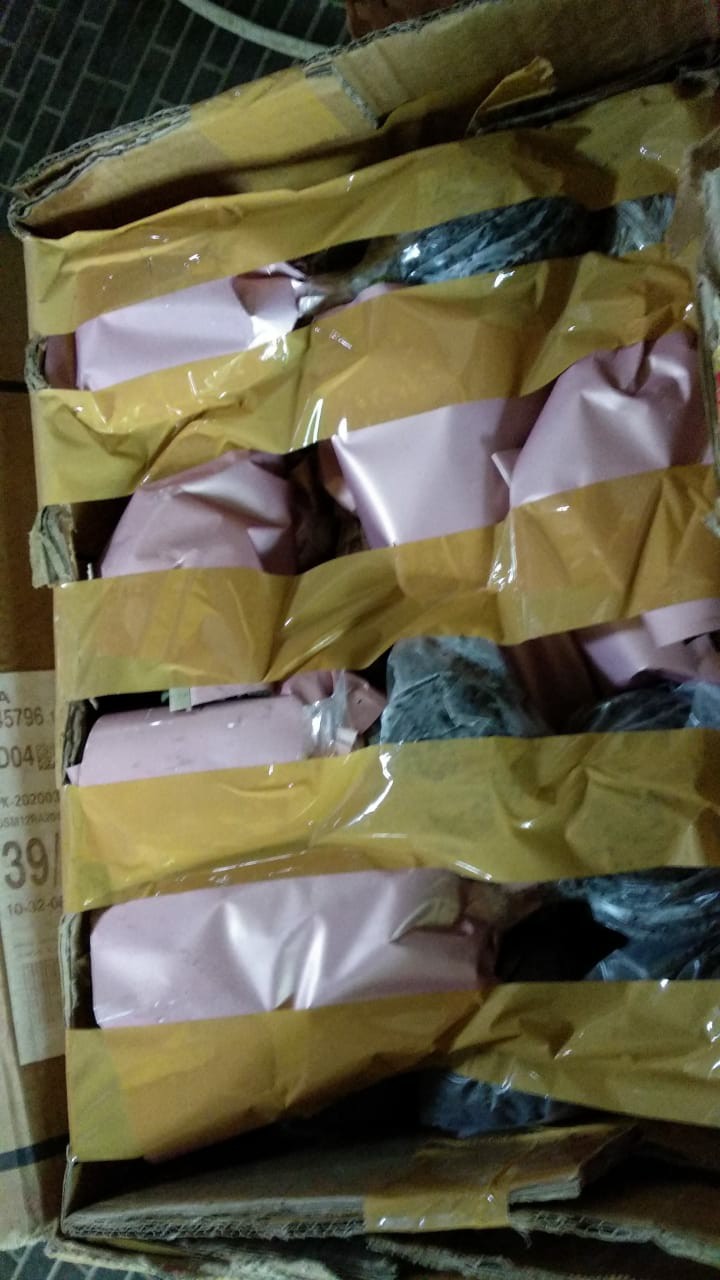 Tanaman Bunga Aster 4-6 Batang