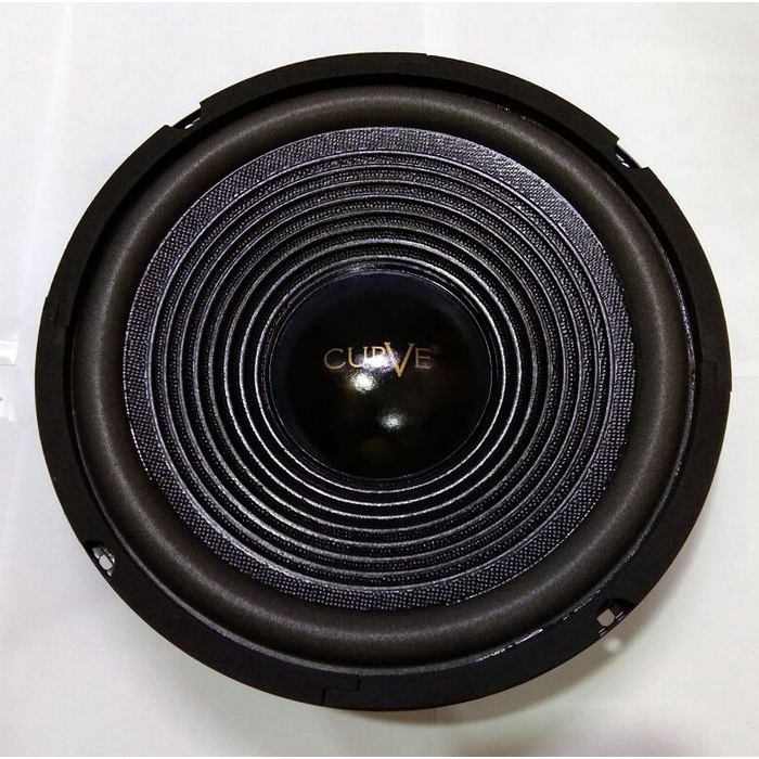 SPEAKER 12 INCH WOOFER CURVE 30H120SRW38B