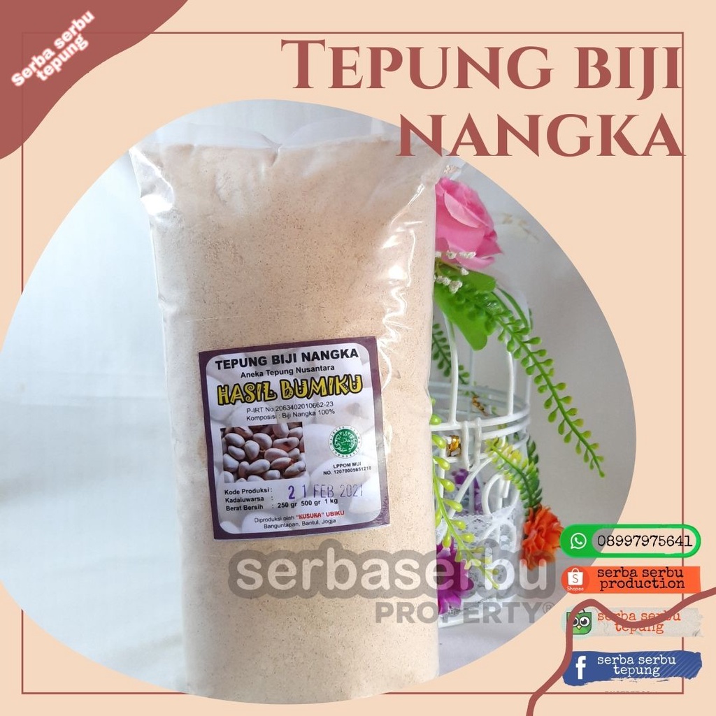 

Tepung Biji Nangka(250Gr)|Untuk diet|Tepung Free Gluten|Tepung Organik