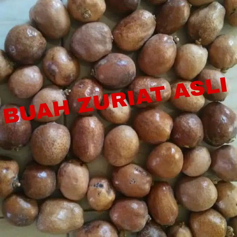 

Buah zuriat murah 1/2 kg isi 7 sampai 8 biji