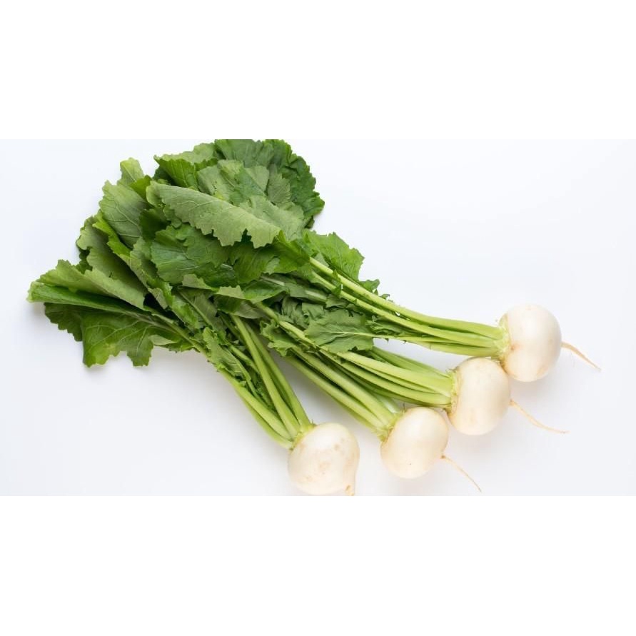 

Daun Lobak Organik 200 gr (PO)