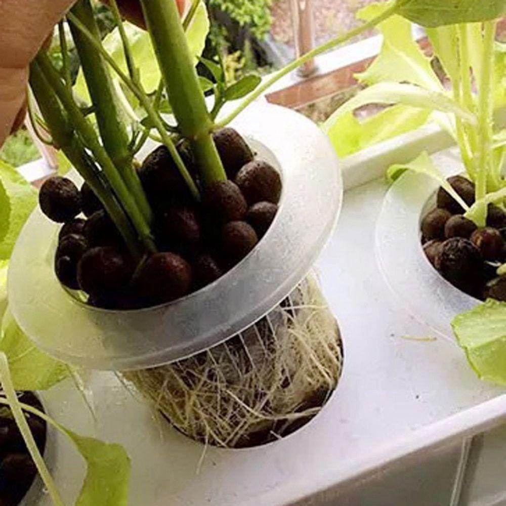 REBUY Mesh Pot Kloning Sayuran Tanam Grow Perlengkapan Taman Koloniisasi Keranjang Tanaman Tanpa Tanah