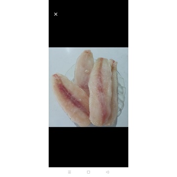 

Fillet Ikan Dori Lokal 1 KG