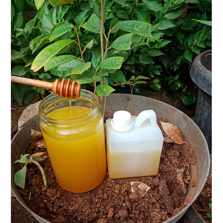 

Madu kaliandra kemasan 500gr.. Madu asli - MMD1756