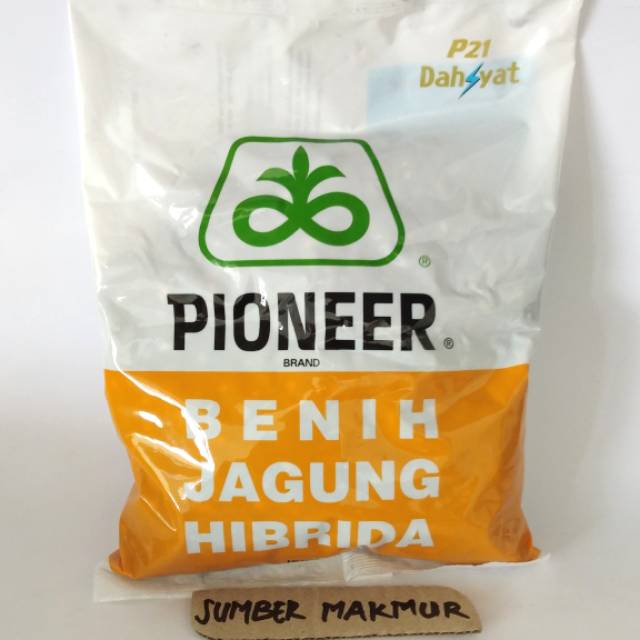 Benih Jagung Hibrida PIONEER Brand P21 Dahsyat Bibit Jagung Terbaik Isi 1 Kg Original