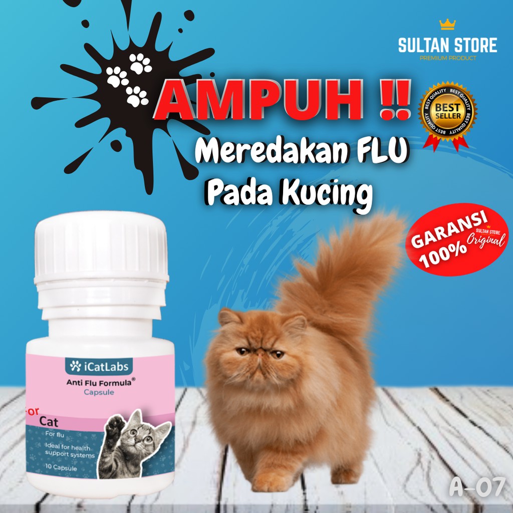 Obat Flu Pilek Kucing Ampuh Persia Anggora Peaknose Himalaya Jantan Betina Medium Formula