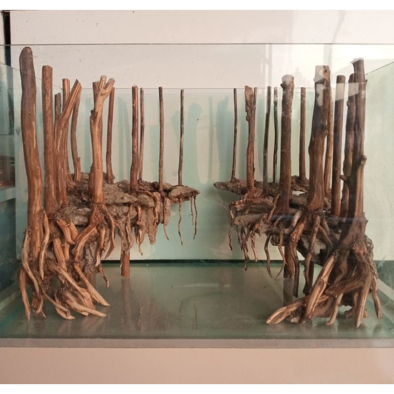 Hardscape aquascape tema hutan bakau (junggle) tank 40 cm