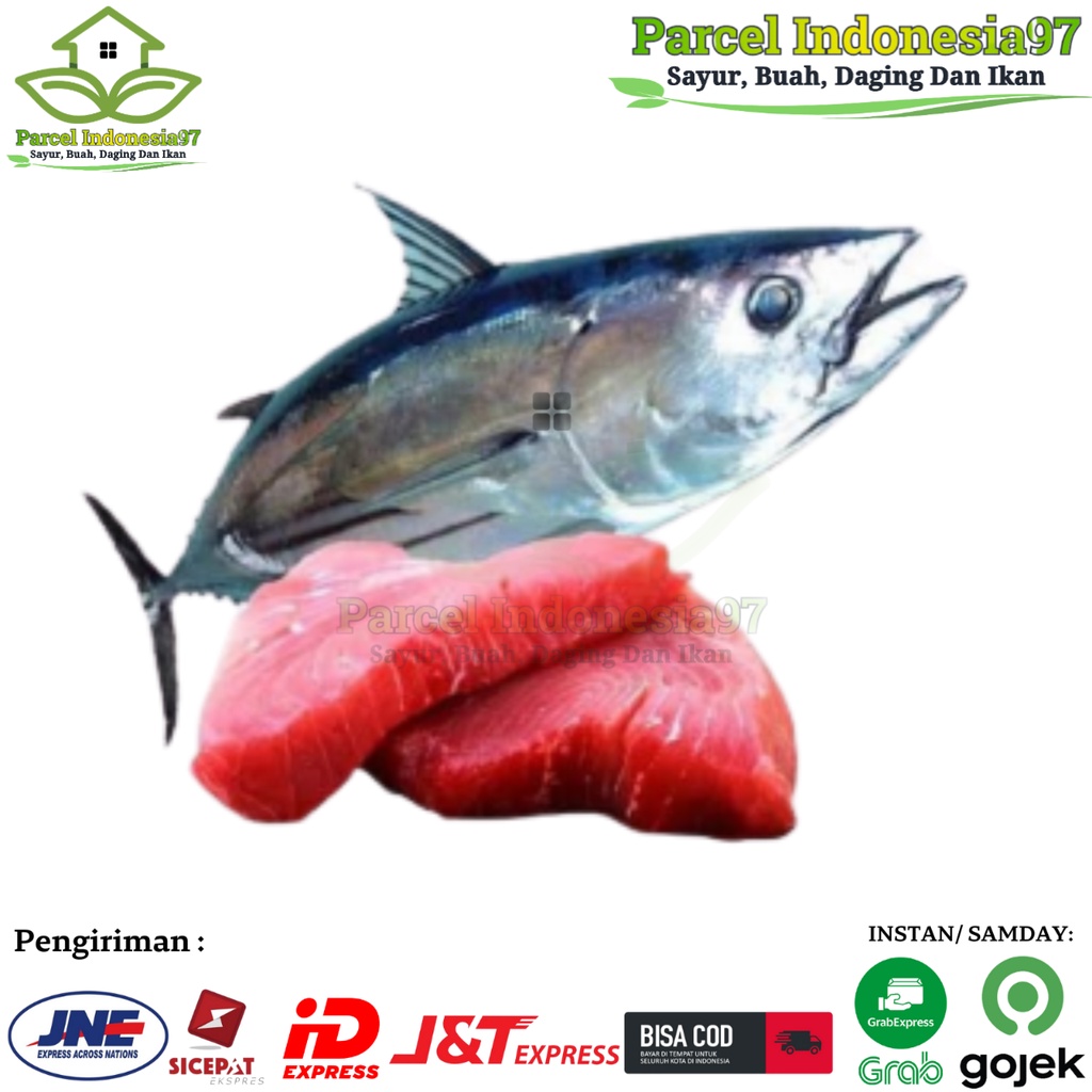 

Ikan Cakalang PREMIUM Segar pasar murah