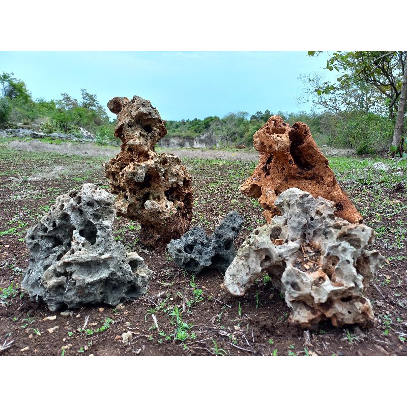 batu karang gunung aquarium/aquascape/bonsai