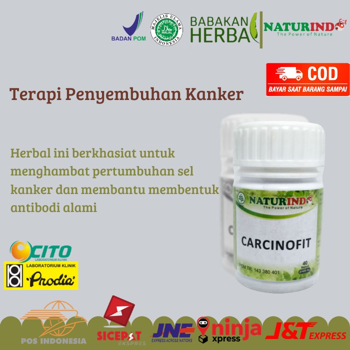 

Naturindo Carcinofit Herbal Kanker Tumor Kista Terapi Kanker