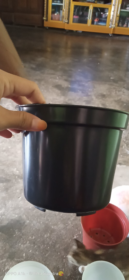 Pot Bunga Tanaman 15 Cm Hitam Merek Made Indonesia Free Bubble Ketentuan Berlaku