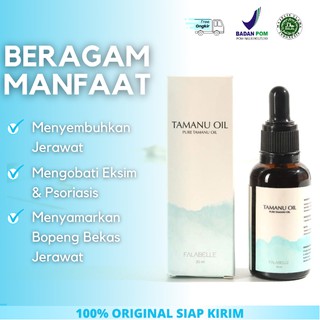 Tamanu Oil Falabelle 30ml Skin Care Acne Serum Wajah Tanamu Oil Obat Bekas Jerawat Stretch Mark Shopee Indonesia