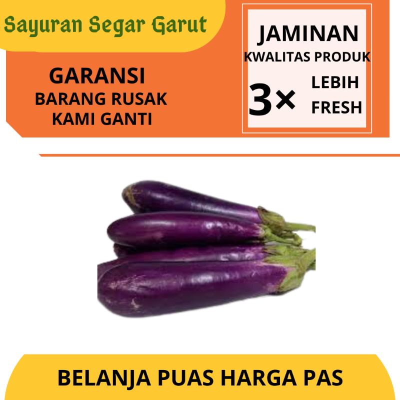 

Terong Ungu Panjang 500gr by Sayuran Segar Garut