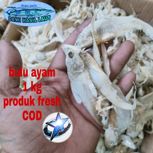 

Ikan asin bulu ayam 1 kg