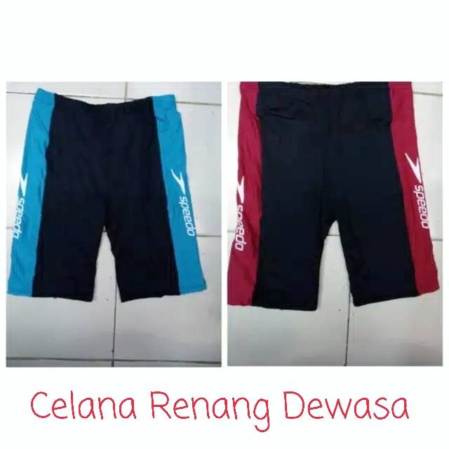 CELANA RENANG PRIA DEWASA