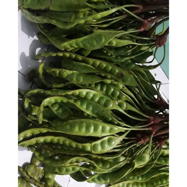 

Pete cuma 10ribu fressss