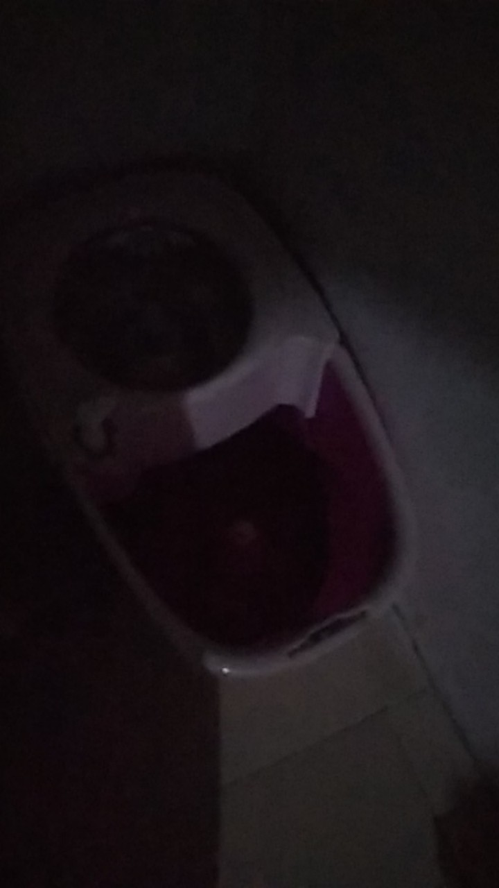 Alat Pel Lantai Super Mop Bolde Solitaire Premium Quality Dengan Roda