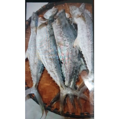 

ikan tenggiri beka 600 gram long ekor