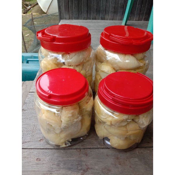 

Tempuyak (buah durian yang difermentasikan)