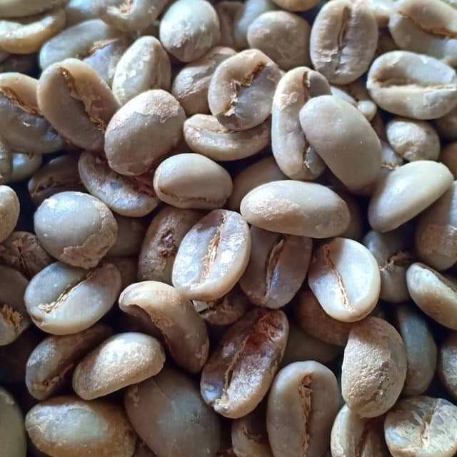 

Arabica ijen fulll washed