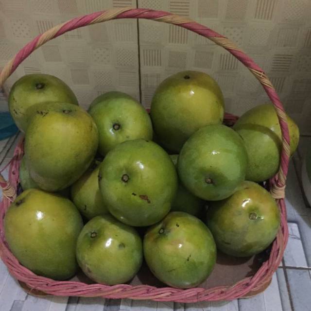 

Mangga Segar