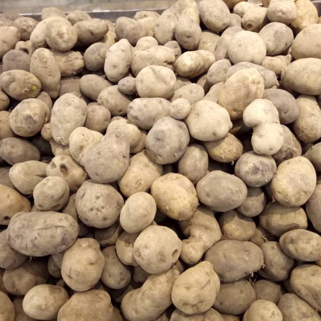 

Kentang curah/1kg